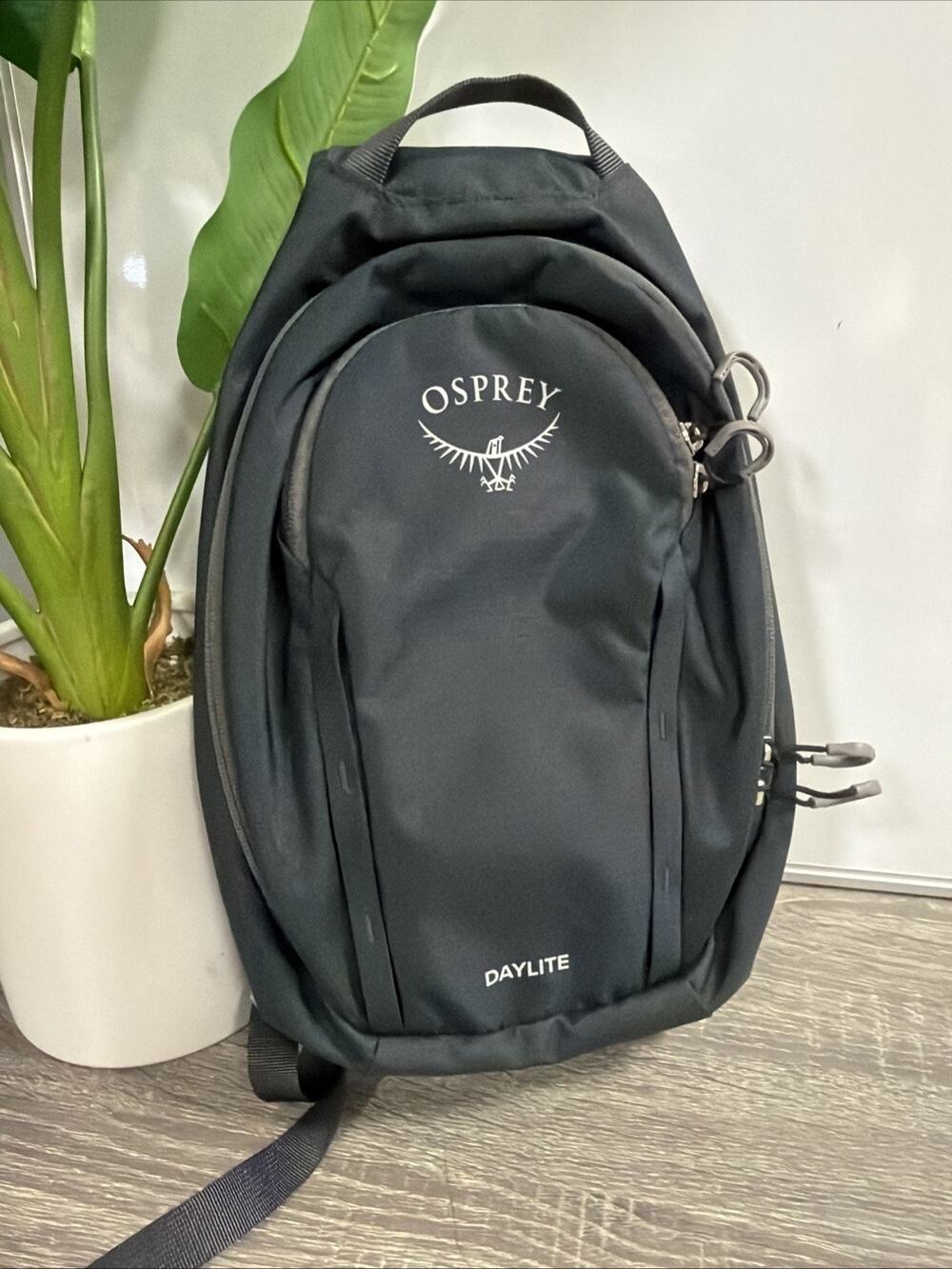Osprey Daylight